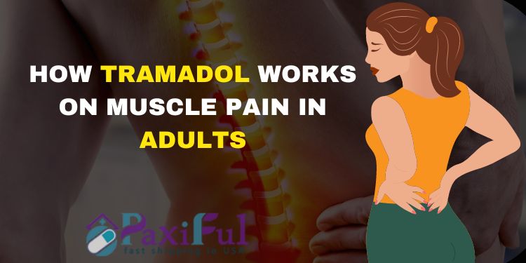 How Tramadol Works on Muscle Pain in Adults